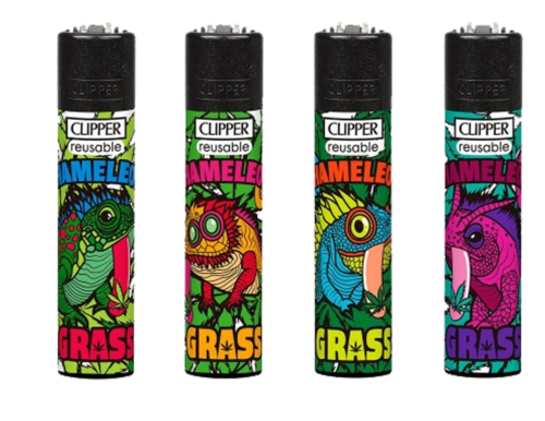 CLIPPER CHAMELEON GRASS