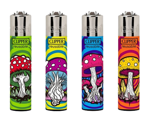 CLIPPER MAGIC MUSHROOMS